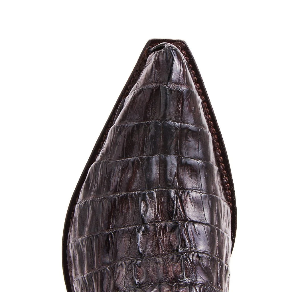 10004 Cuervo Cola Cresta Marron 4 10004 Cuervo Cola Cresta Marron - Imagen 4