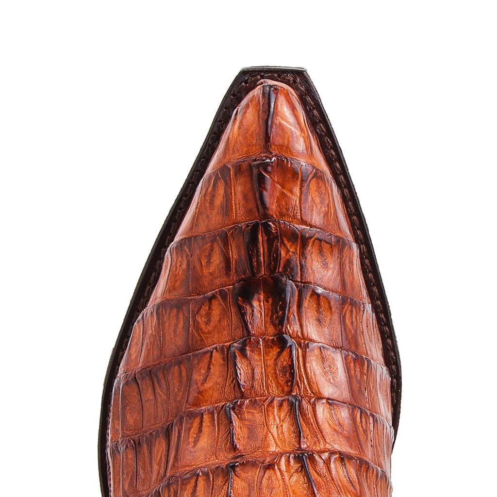 10004 Cuervo Cola Cresta Peanut 5 10004 Cuervo Cola Cresta Peanut - Imagen 5