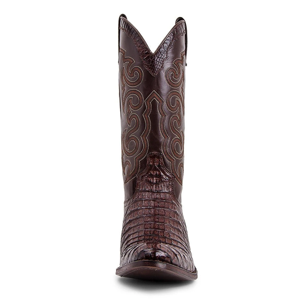 10004 Dom Cola Barriga Marron 2 10004 Dom Cola Barriga Marron - Imagen 2