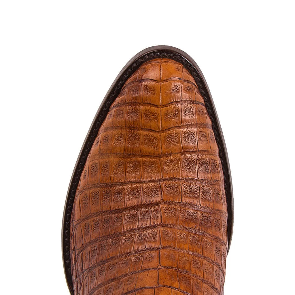 10004 Dom Cola Barriga Peanut 3 10004 Dom Cola Barriga Peanut - Imagen 3