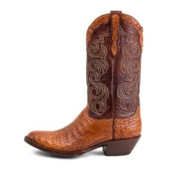 10004 Dom Cola Barriga Peanut