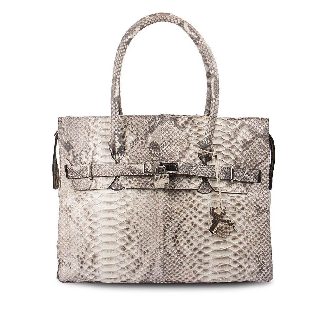 501 P. B. Adria Mate 1 501 P. B. Adria Mate