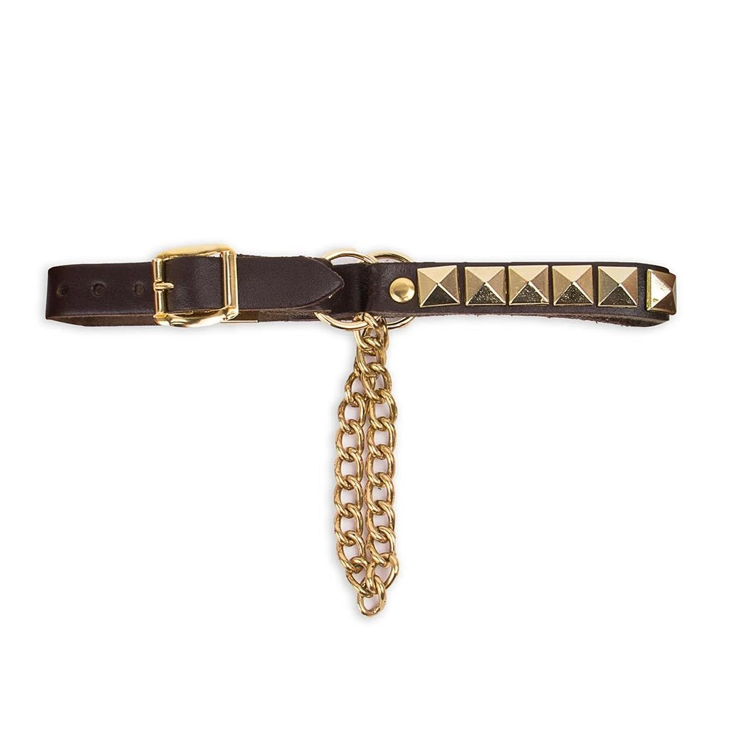 Arnes 30 Marron-Oro 1 Arnes 30 Marron-Oro