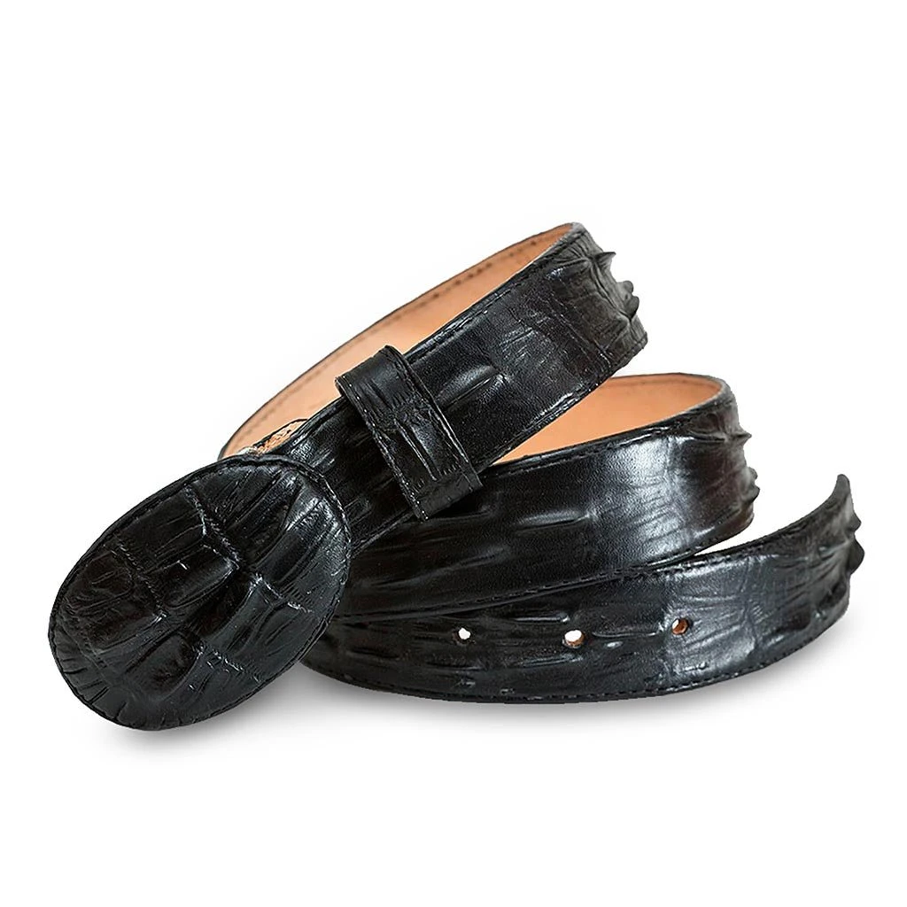 Chihuahua Negro 1 Chihuahua Negro