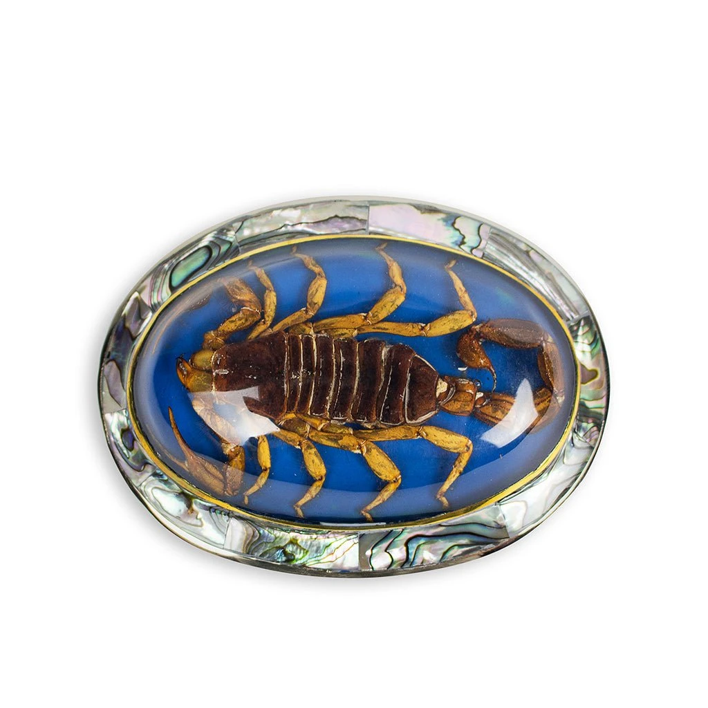 HEBILLA AZ1P ESCORPION AZUL 1 HEBILLA AZ1P ESCORPION AZUL