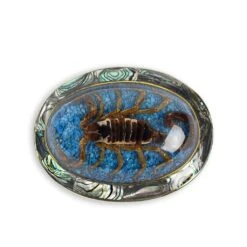 HEBILLA AZ1P ESCORPION TURQUESA