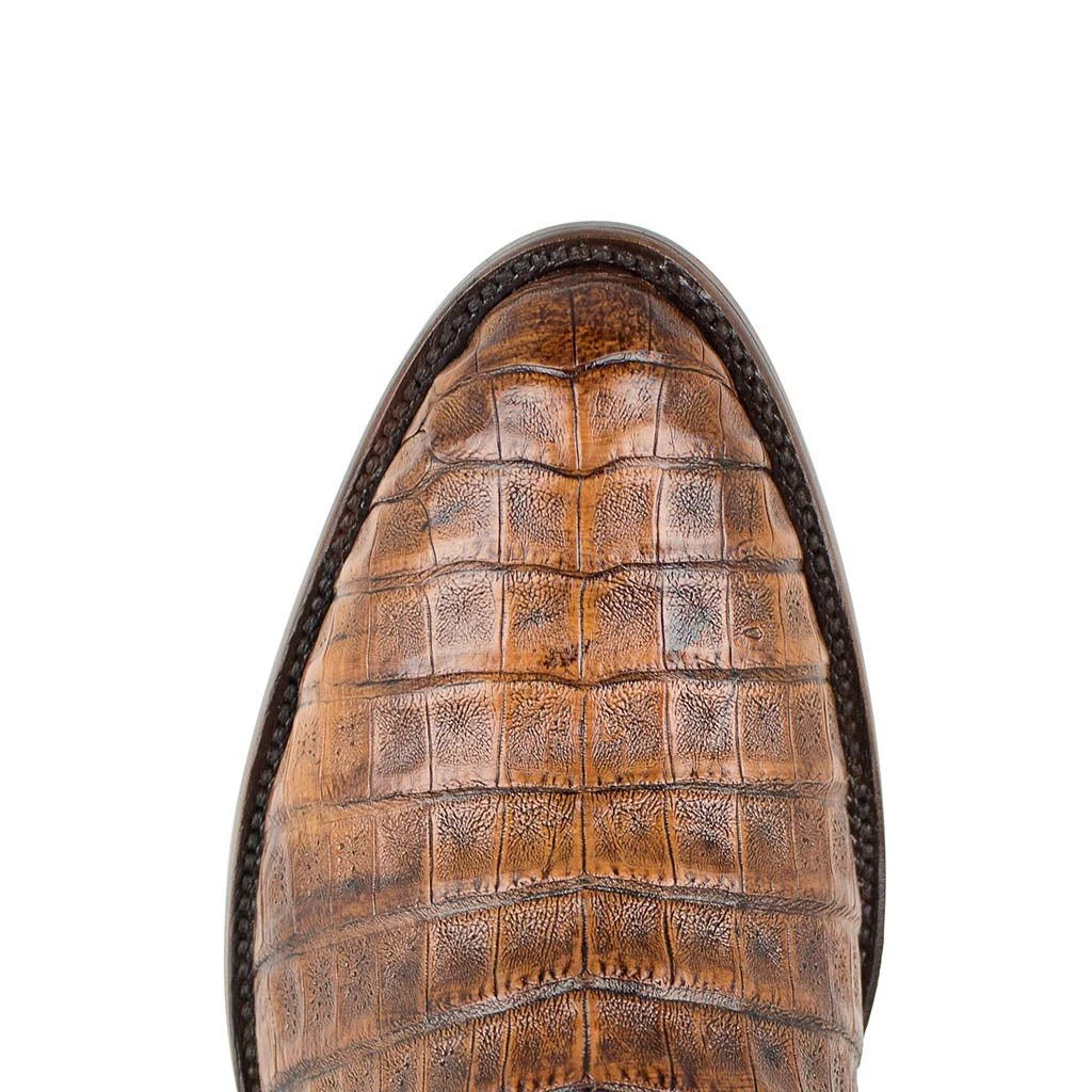 Rodeo Caiman Belly Cognac 4 Rodeo Caiman Belly Cognac - Imagen 4