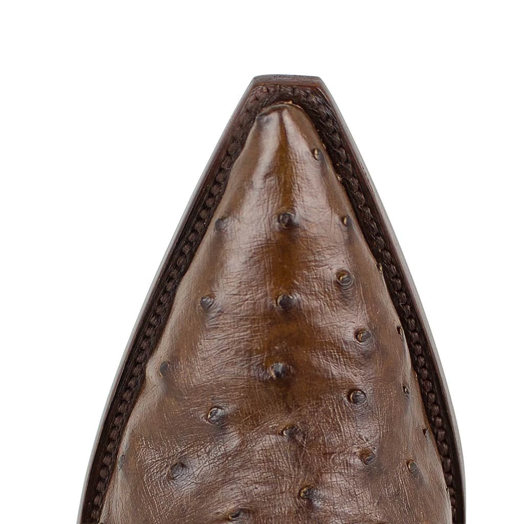 Texas Avestruz Tabak 4 Texas Avestruz Tabak - Imagen 4